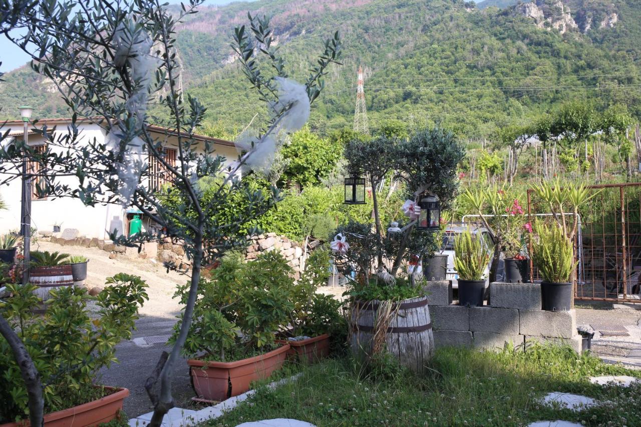 Annabella'S Country House ซานตันโตนิโอ อาบาเต ภายนอก รูปภาพ